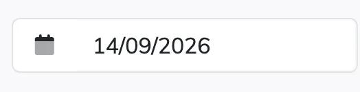The date field to the left of the navigator